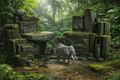 African elephant